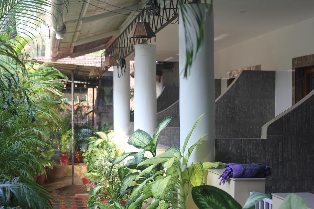 Alba Rooms Palolem Rosebuds エクステリア 写真